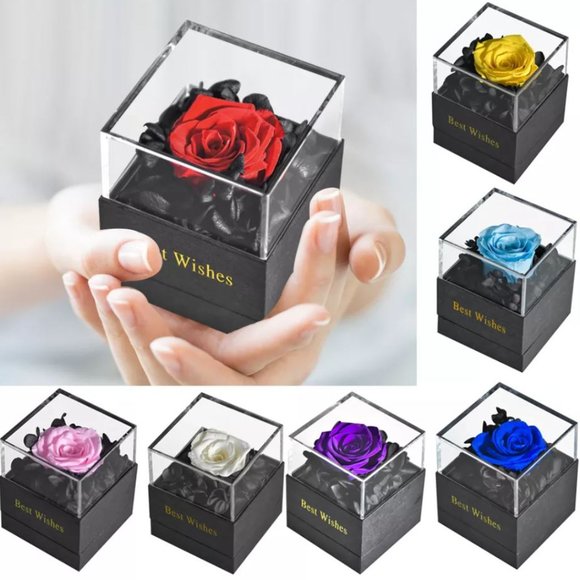 Preserved Rose In a Acrylic Box with Silver Plated October Birthstone Necklace - Picture 13 of 15